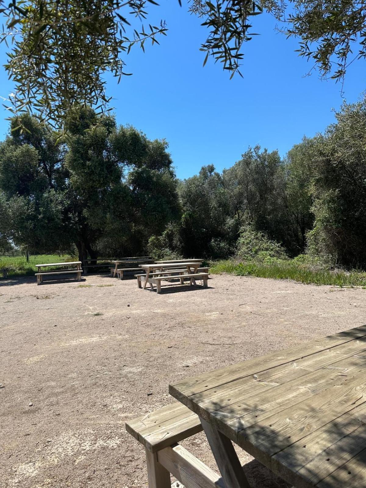 Duplex, Piscina Y Playa Villa La Pobla de Farnals Eksteriør billede